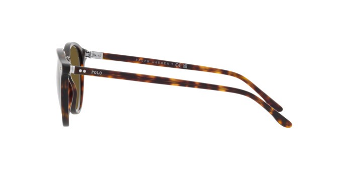 Sonnenbrillen Polo PH 4193 (500373) farbe havana scuro lucido form rund gläser verde oliva
