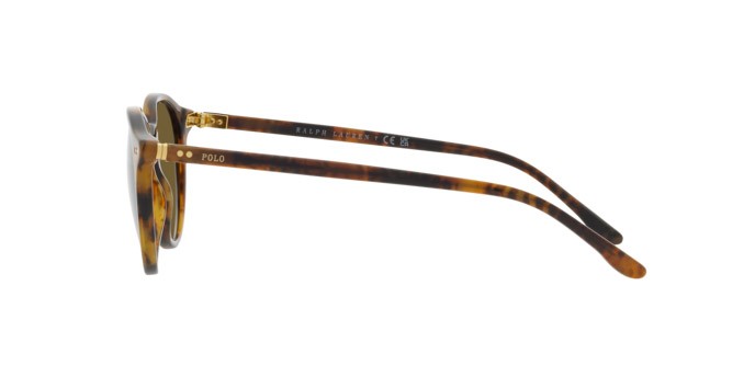 Sonnenbrillen Polo PH 4193 (501773) farbe shiny beige tortoise form rund gläser verde oliva