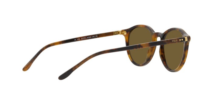 Sonnenbrillen Polo PH 4193 (501773) farbe shiny beige tortoise form rund gläser verde oliva