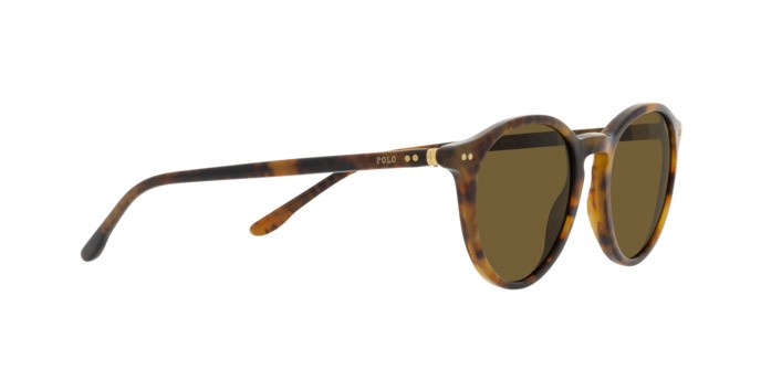 Sonnenbrillen Polo PH 4193 (501773) farbe shiny beige tortoise form rund gläser verde oliva