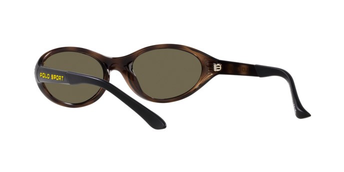 Sunglasses Polo PH 4197U (5003/3) color havana lucido shape oval lenses marrone