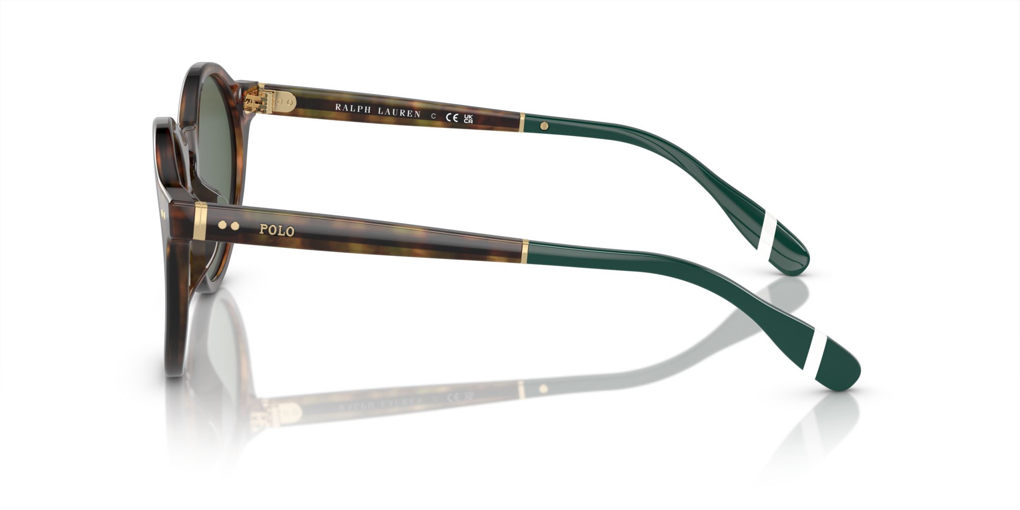 Occhiali da sole Polo PH 4204U (501771) colore marrone tartarugato brillante forma pantos lenti verde bottiglia