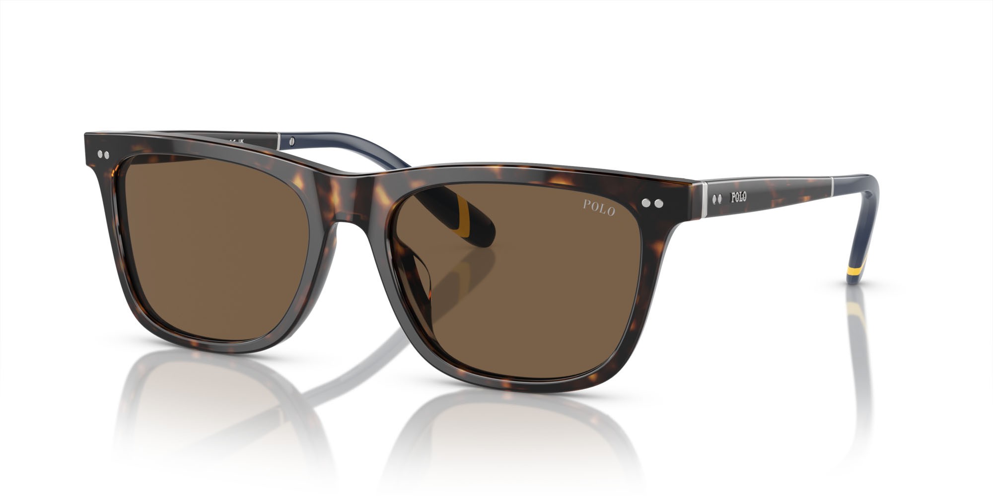 Sunglasses Polo PH 4205U (500373) color havana scuro lucido shape square lenses marrone