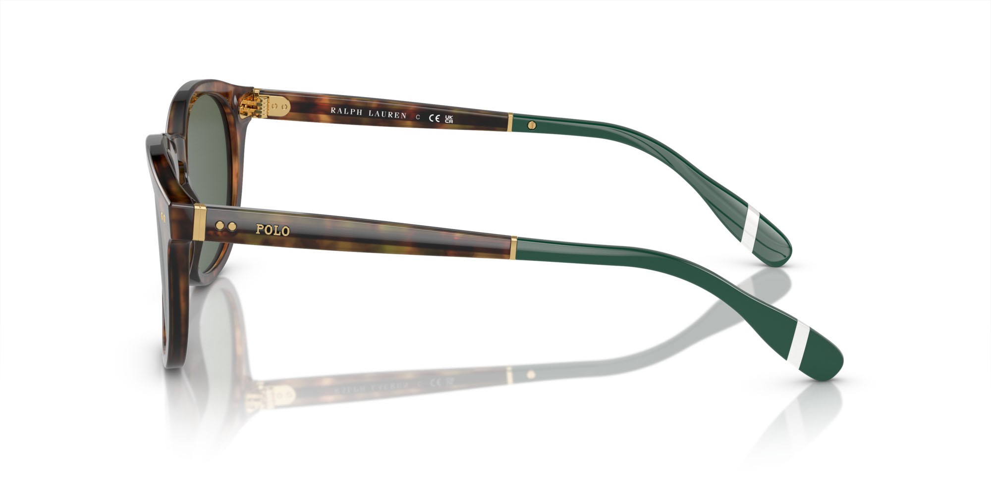 Occhiali da sole Polo PH 4206 (501771) colore marrone tartarugato brillante forma pantos lenti verde bottiglia
