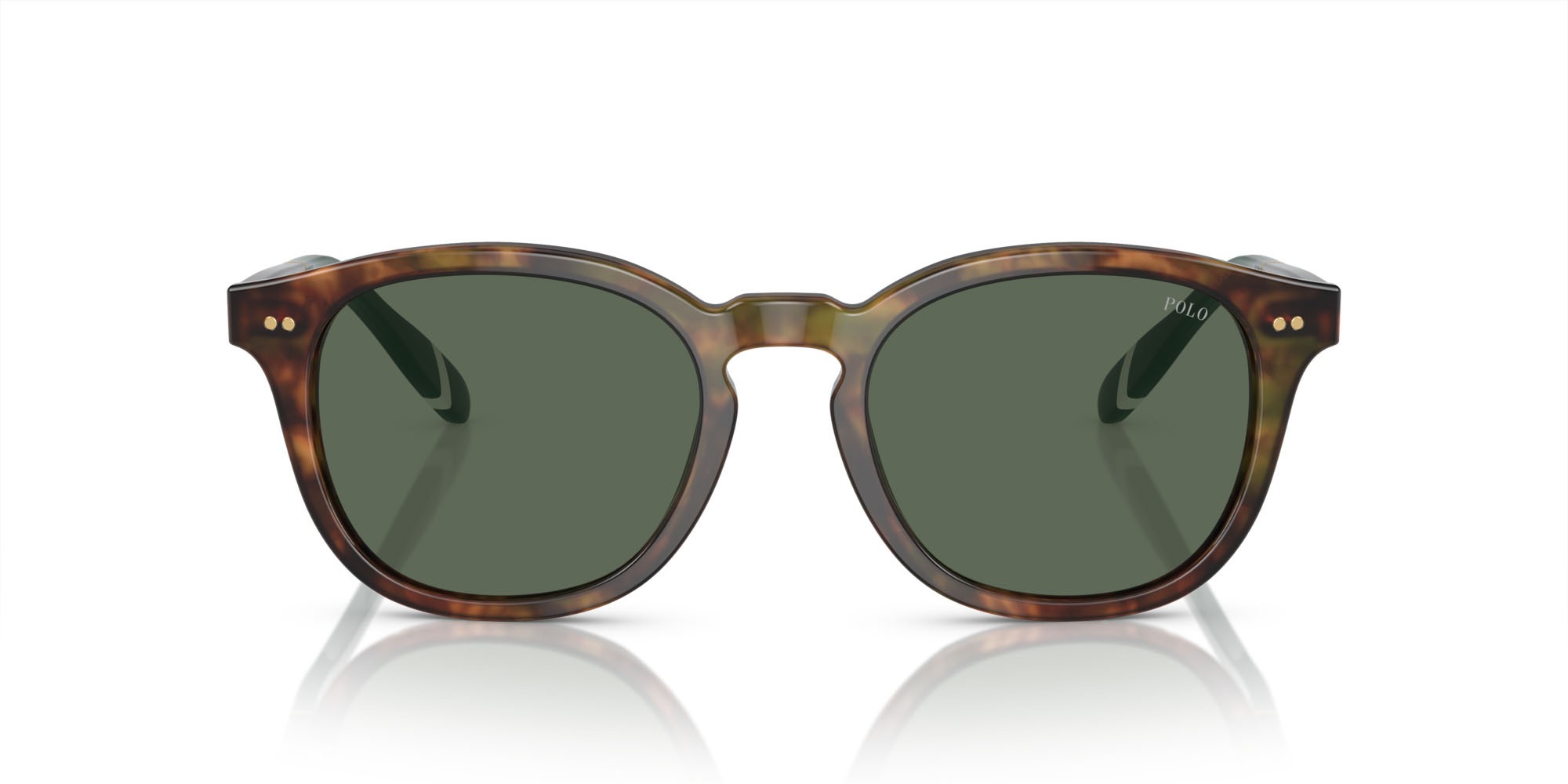 Occhiali da sole Polo PH 4206 (501771) colore marrone tartarugato brillante forma pantos lenti verde bottiglia
