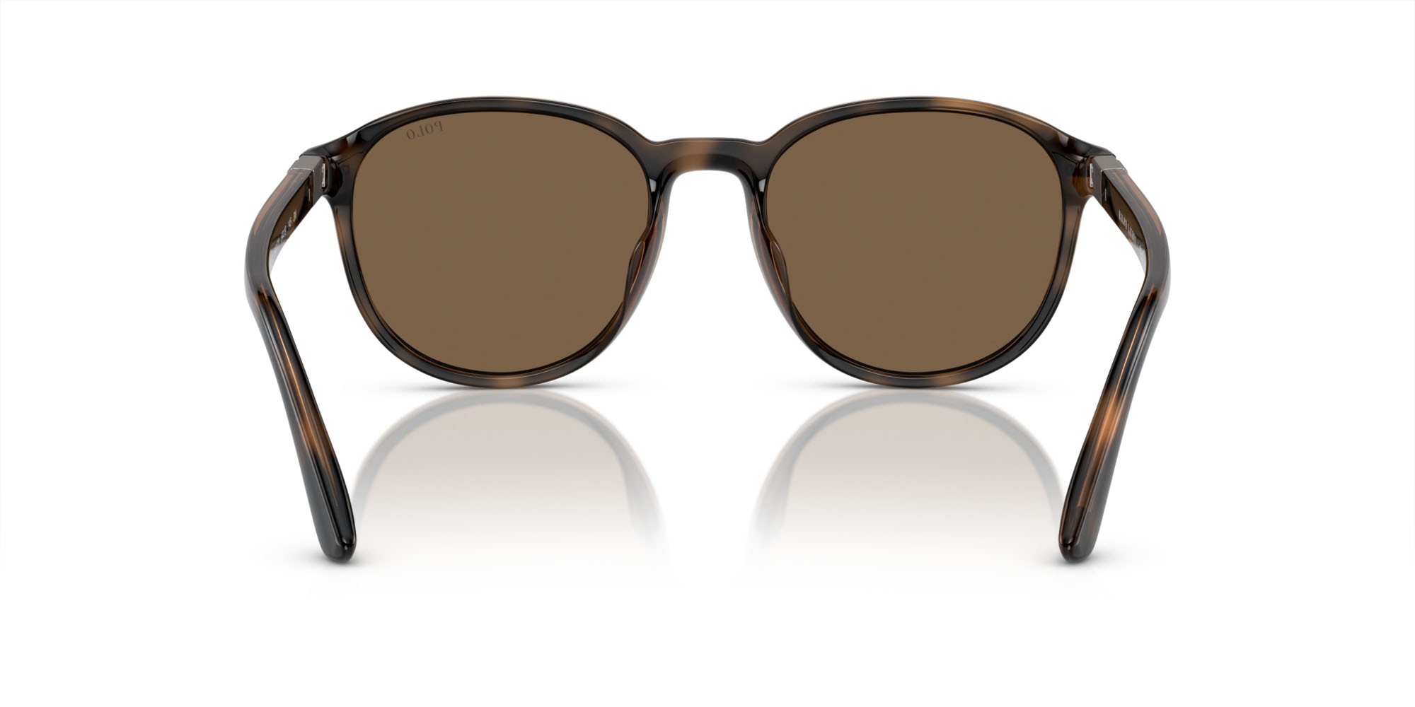 Sonnenbrillen Polo PH 4207U (597473) farbe havana lucido form pantos gläser marrone