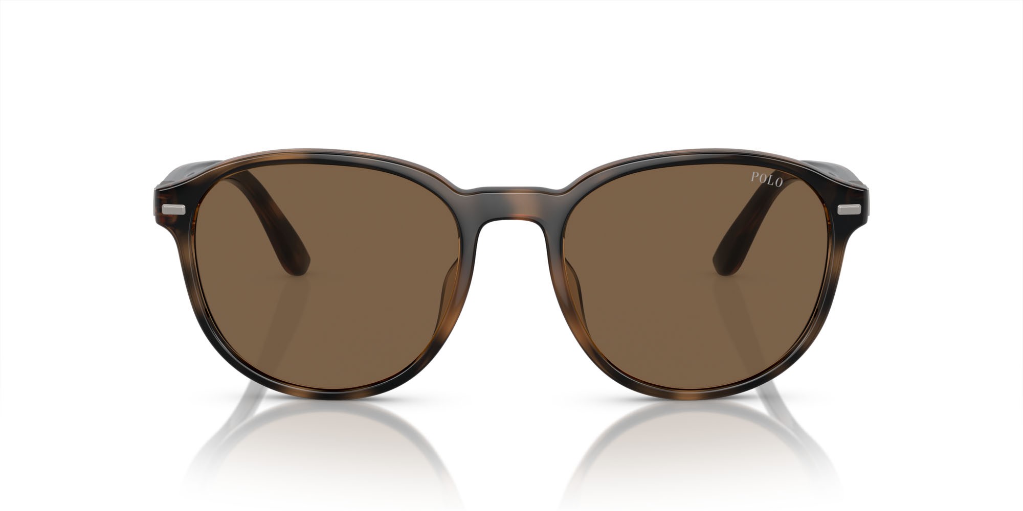 Sonnenbrillen Polo PH 4207U (597473) farbe havana lucido form pantos gläser marrone