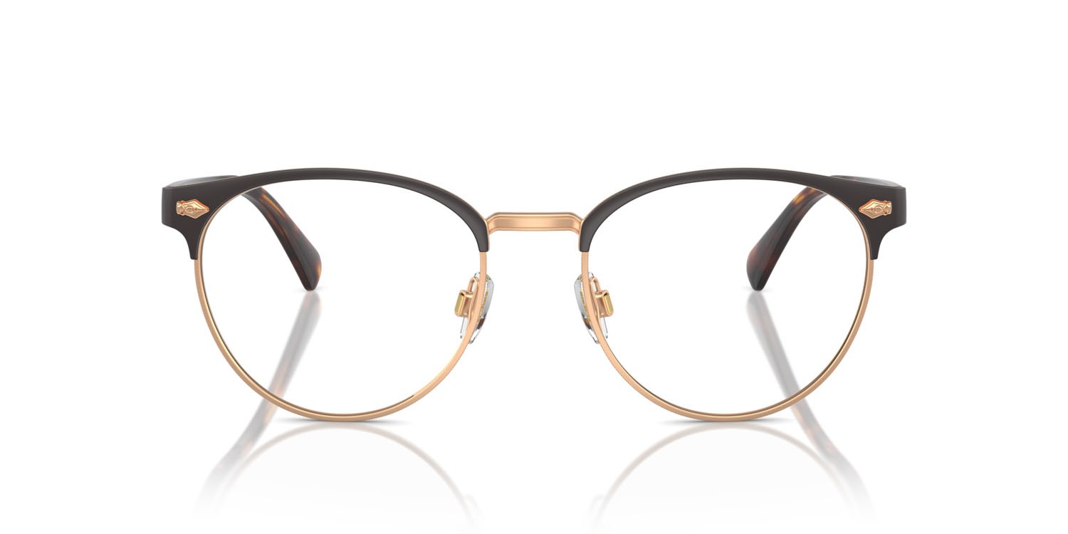 Brillen Polo PH 1226 (9265) farbe marrone scuro semi-brillante form pantos gläser lente demo