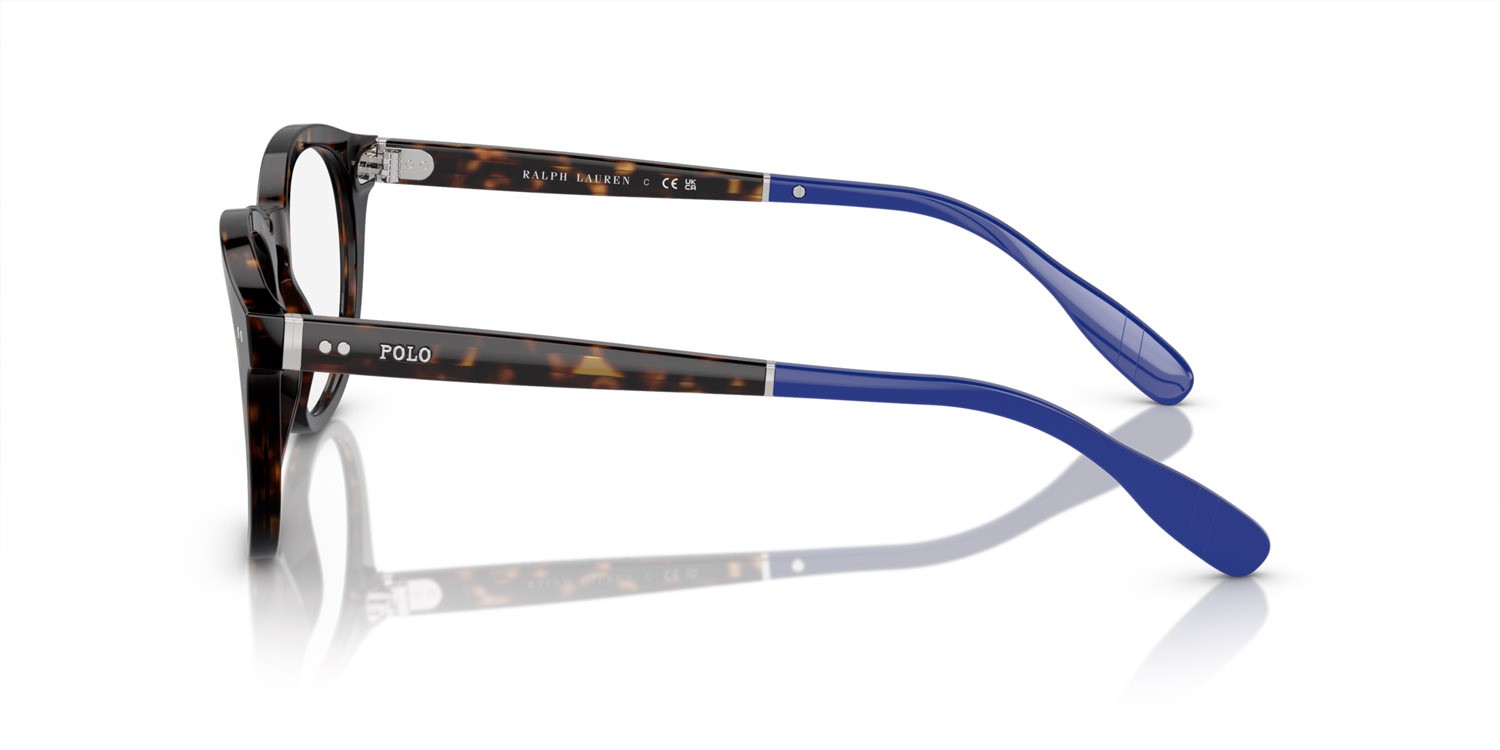 Brillen Polo PH 2267 (6145) farbe havana lucido form quadratisch gläser lente demo