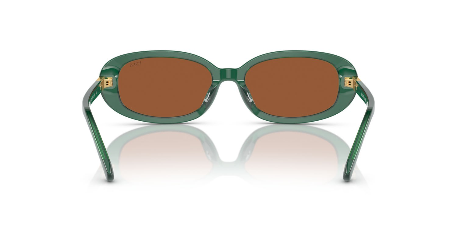 Sonnenbrillen Polo PH 4198U (619573) farbe verde trasparente lucido form oval gläser marrone