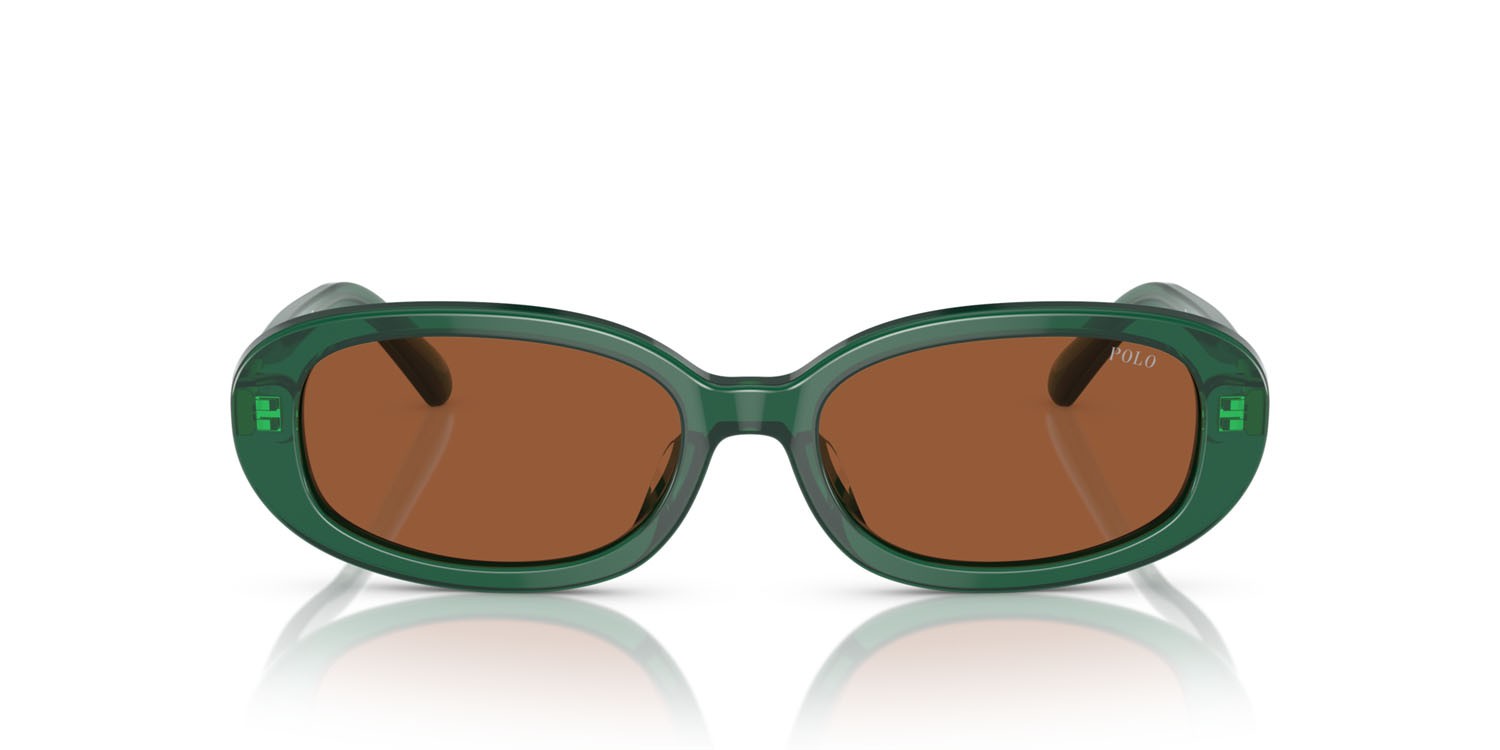 Sonnenbrillen Polo PH 4198U (619573) farbe verde trasparente lucido form oval gläser marrone
