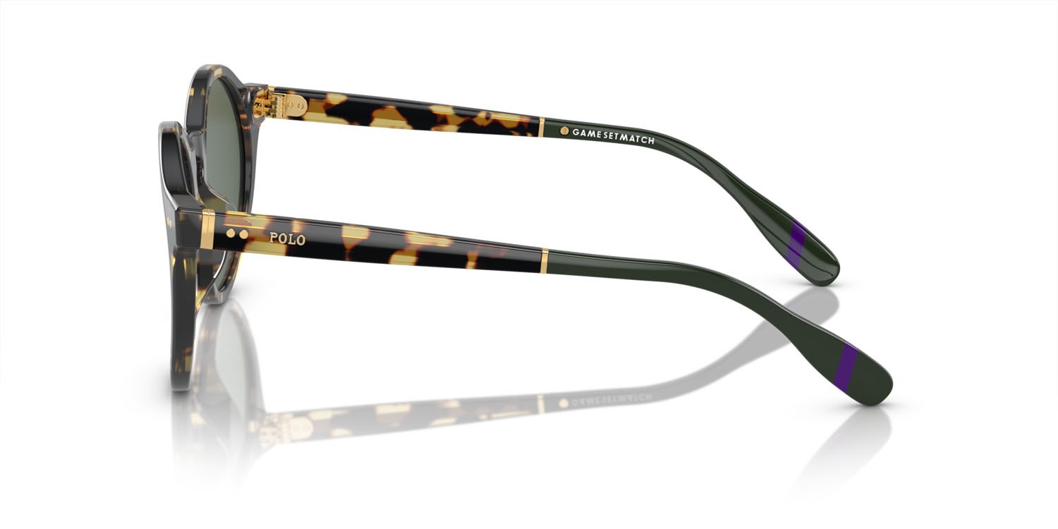 Sunglasses Polo PH 4204U (500471) shape pantos lenses verde scuro