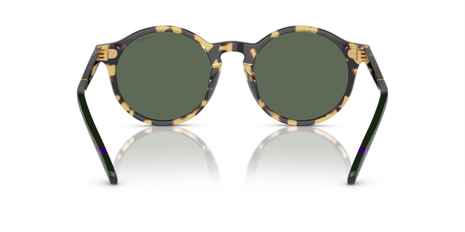 Sunglasses Polo PH 4204U (500471) shape pantos lenses verde scuro