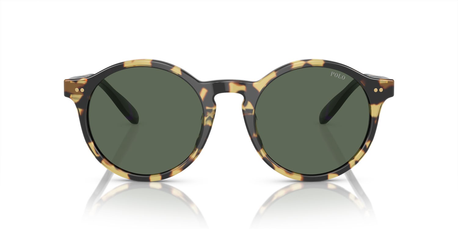Sunglasses Polo PH 4204U (500471) shape pantos lenses verde scuro