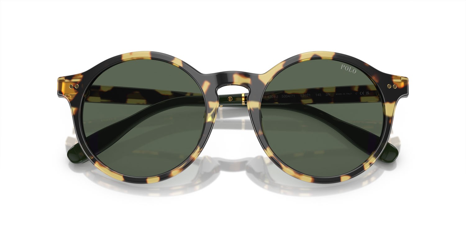 Sunglasses Polo PH 4204U (500471) shape pantos lenses verde scuro