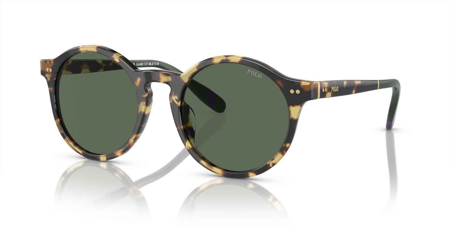 Sunglasses Polo PH 4204U (500471) shape pantos lenses verde scuro