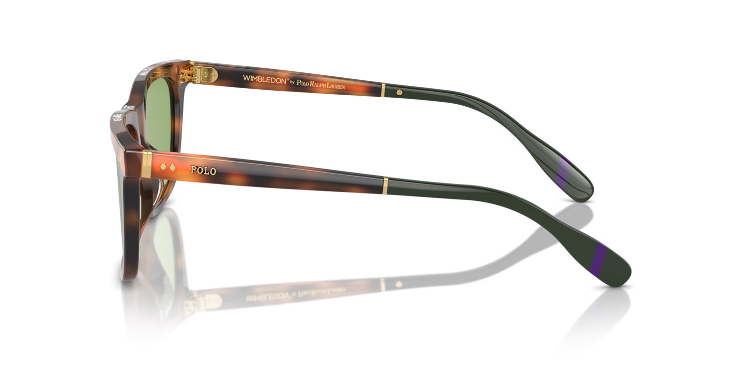 Occhiali da sole Polo PH 4205U (6089/2) colore rosso lucido havana forma quadrato lenti verde chiaro