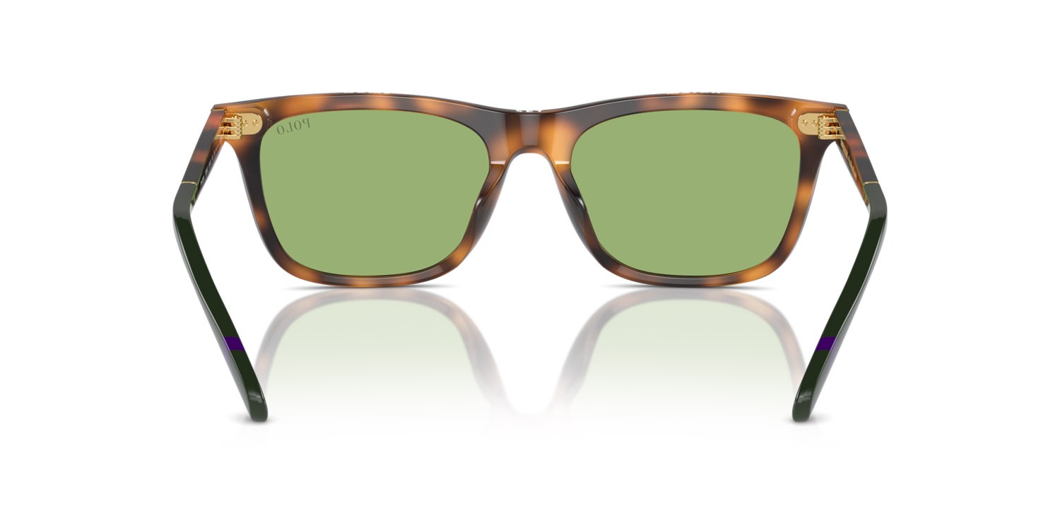 Occhiali da sole Polo PH 4205U (6089/2) colore rosso lucido havana forma quadrato lenti verde chiaro