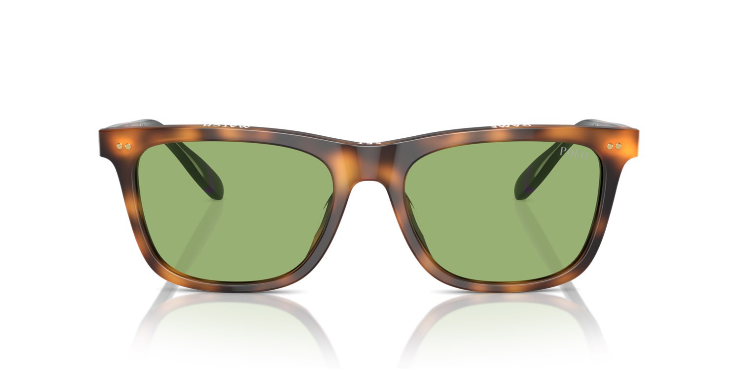 Occhiali da sole Polo PH 4205U (6089/2) colore rosso lucido havana forma quadrato lenti verde chiaro