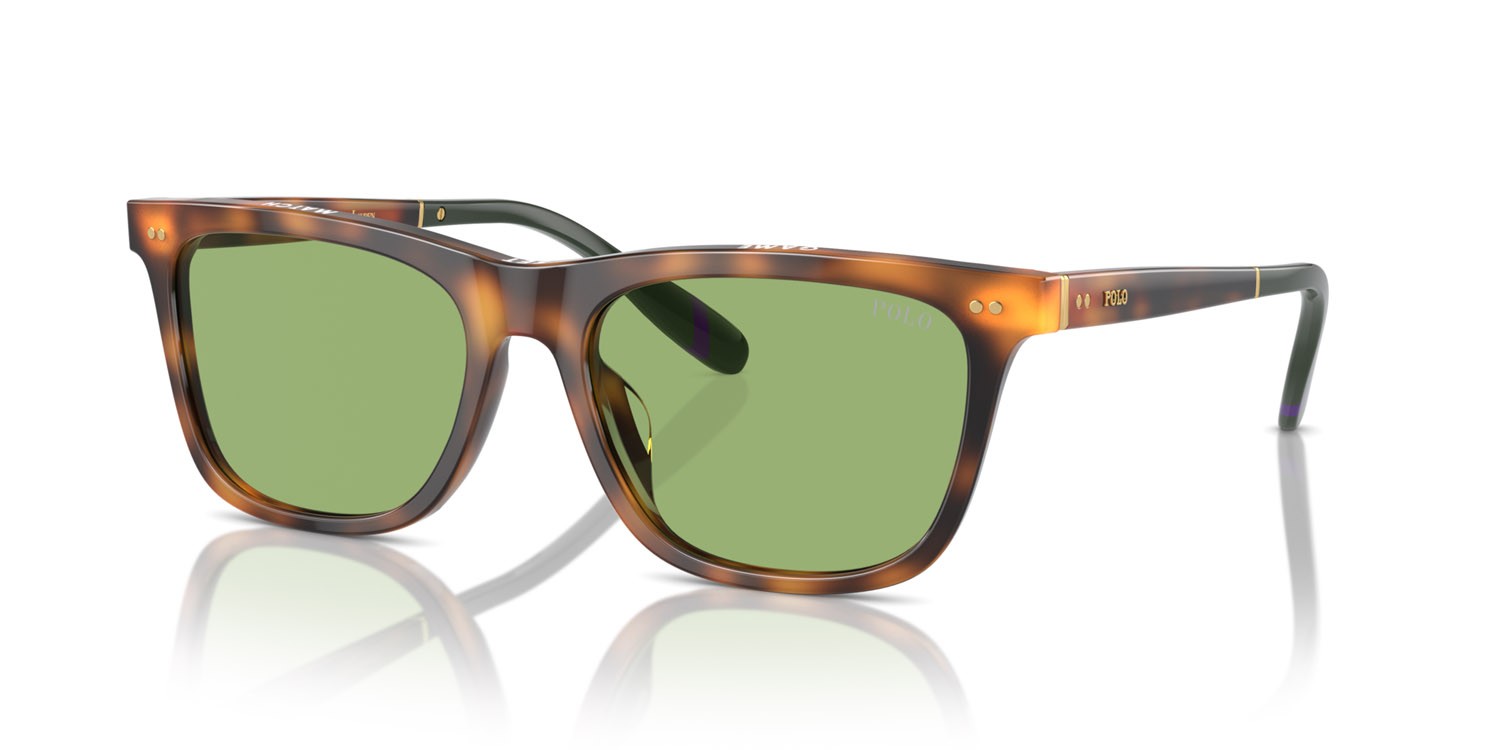 Occhiali da sole Polo PH 4205U (6089/2) colore rosso lucido havana forma quadrato lenti verde chiaro