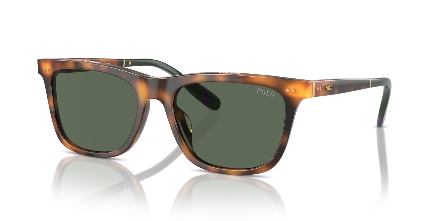 Occhiali da sole Polo PH 4205U (608971) colore rosso lucido havana forma quadrato lenti verde scuro
