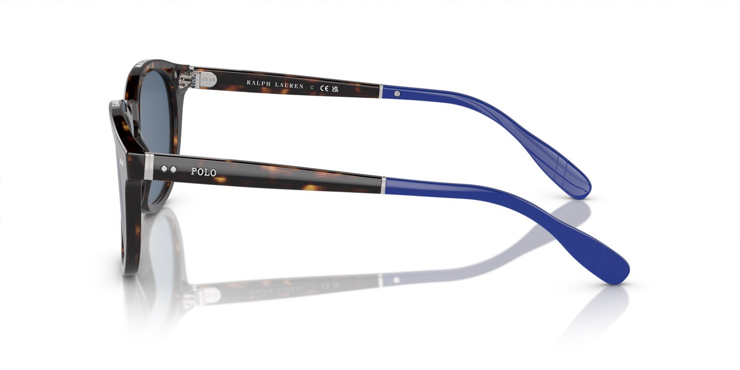 Occhiali da sole Polo PH 4206 (614580) colore havana lucido forma pantos lenti blu