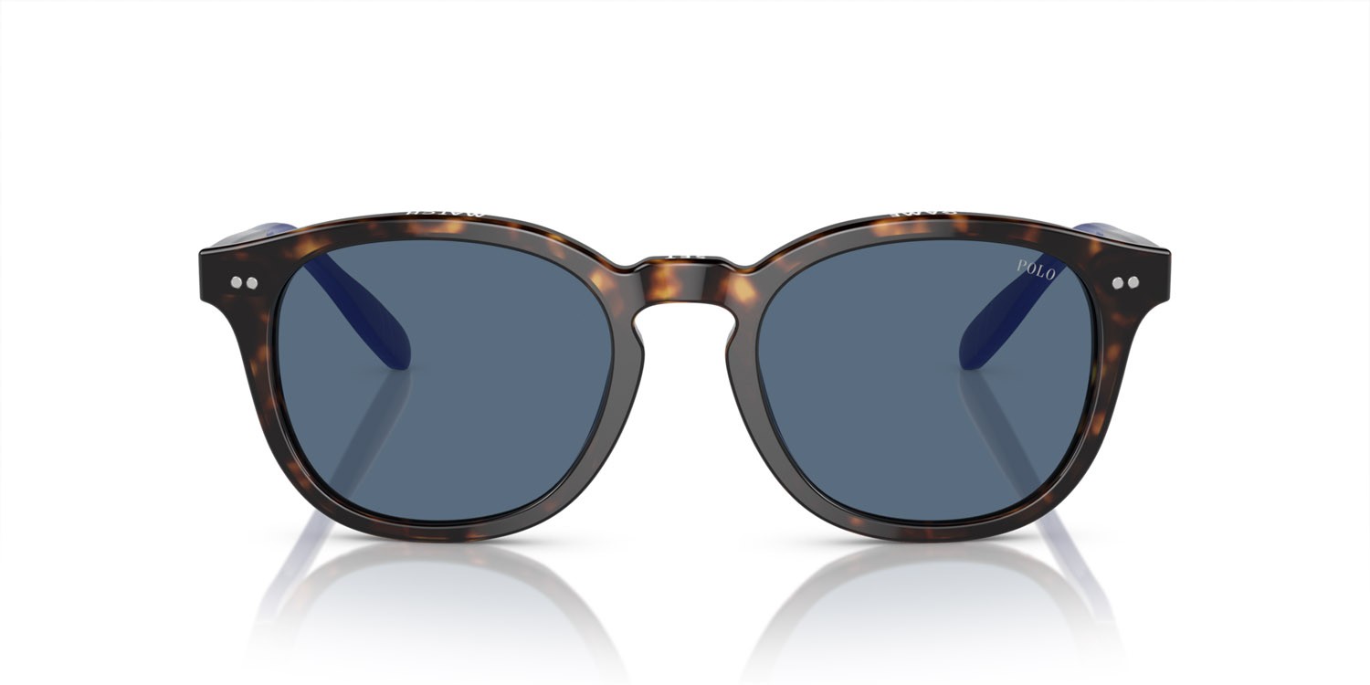 Occhiali da sole Polo PH 4206 (614580) colore havana lucido forma pantos lenti blu
