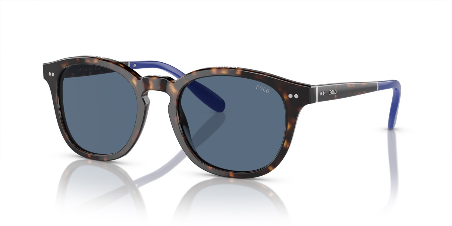 Occhiali da sole Polo PH 4206 (614580) colore havana lucido forma pantos lenti blu