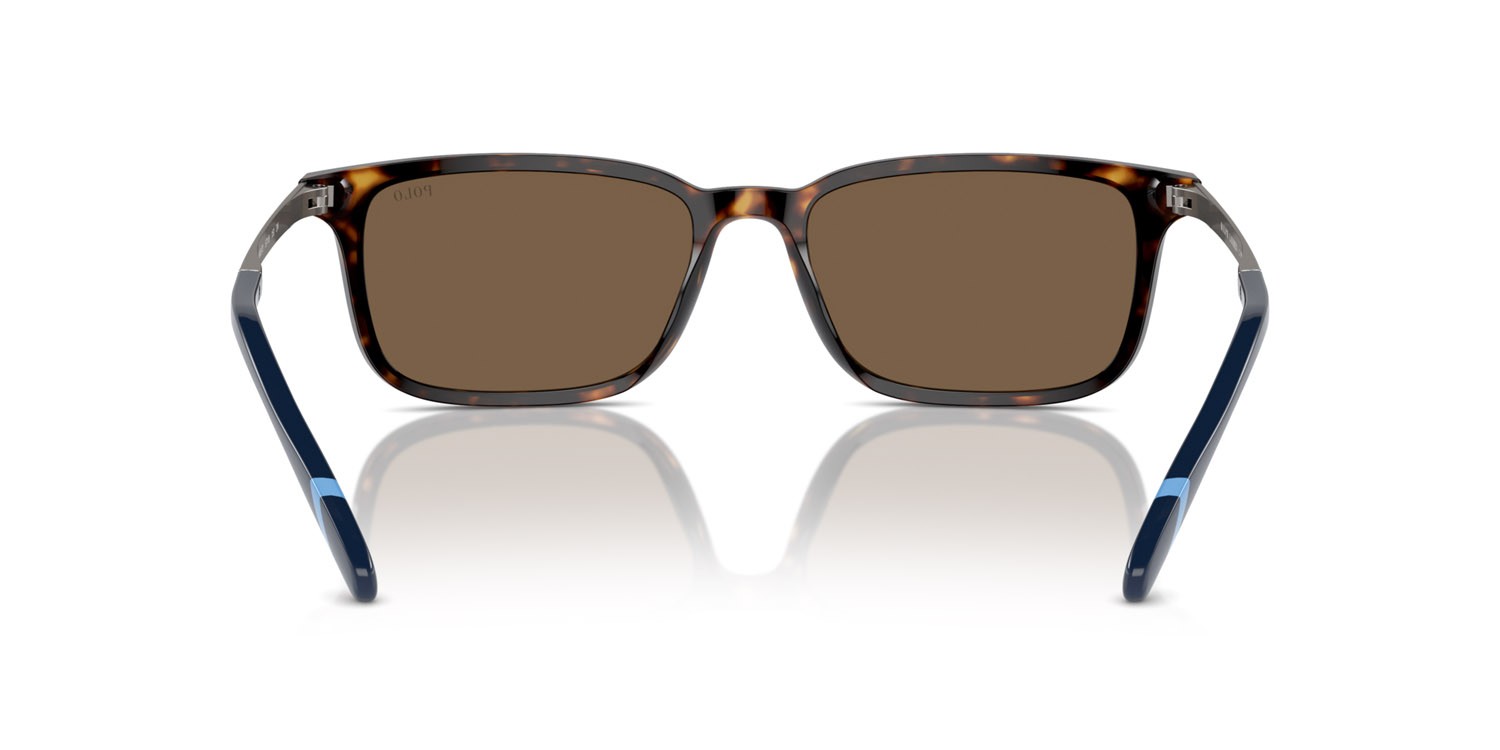 Occhiali da sole Polo PH 4212 (500373) colore havana scuro lucido forma rettangolare lenti marrone