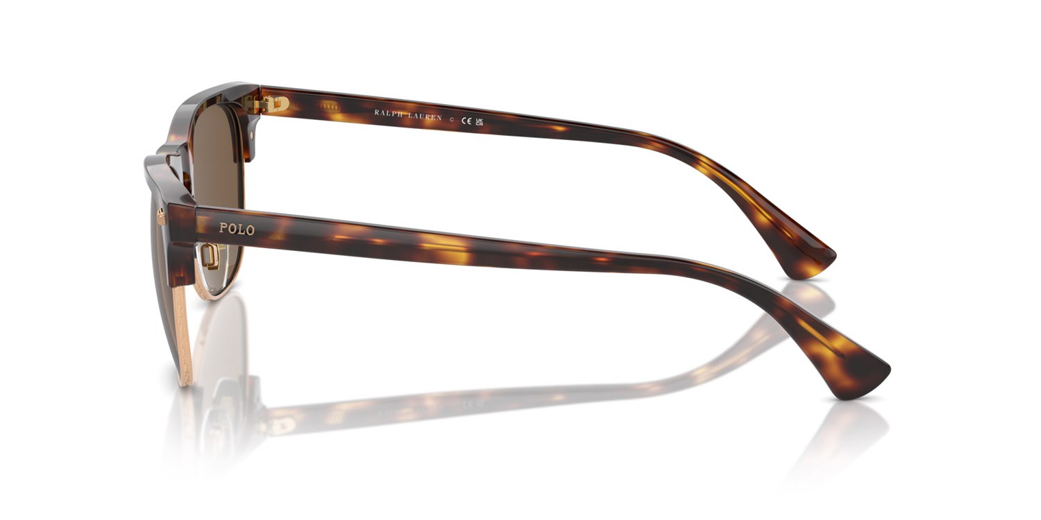 Occhiali da sole Polo PH 4213 (613773) colore marrone tartarugato brillante forma quadrato lenti marrone