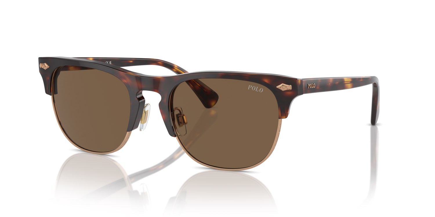 Occhiali da sole Polo PH 4213 (613773) colore marrone tartarugato brillante forma quadrato lenti marrone