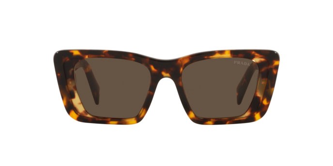 Sunglasses Prada Symbole PR 08YS (01V8C1) color havana honey shape butterfly lenses dark brown