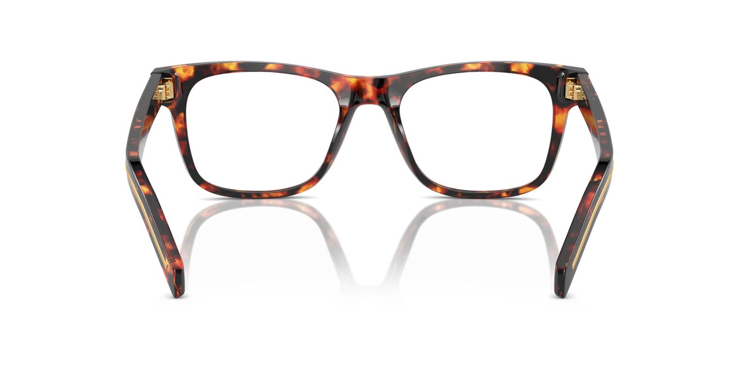 Eyeglasses Prada PR A13V (14O1O1) color magma tortoise shape square lenses lente demo