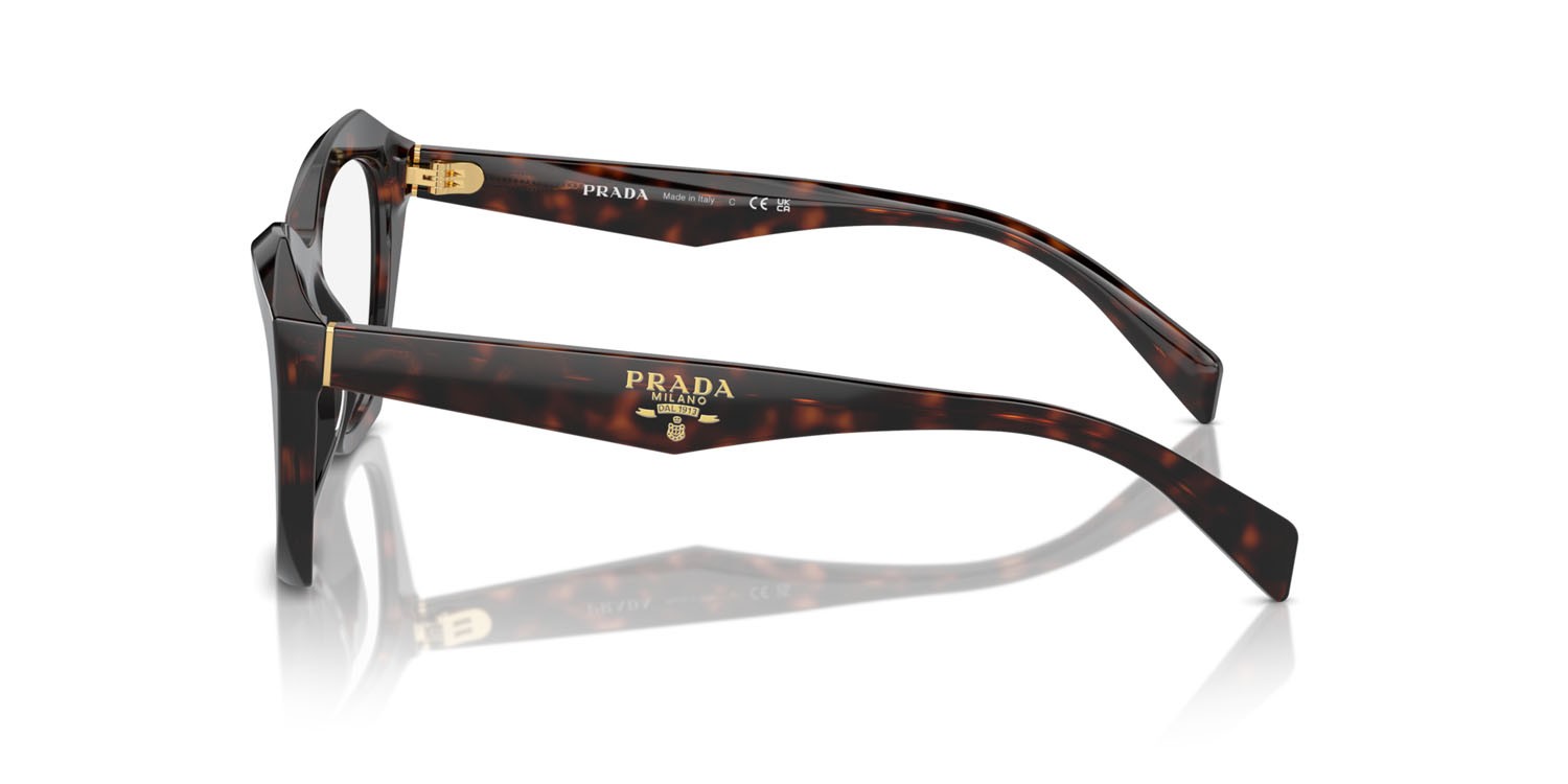 Eyeglasses Prada PR A20V (17N1O1) color root tortoise shape butterfly lenses lente demo