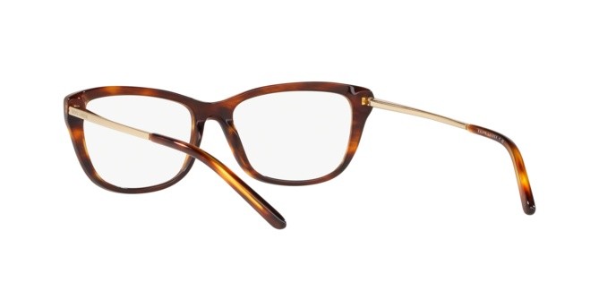 Brillen Ralph Lauren RL 6189 (5004) farbe stripped havana form quadratisch gläser demo lens