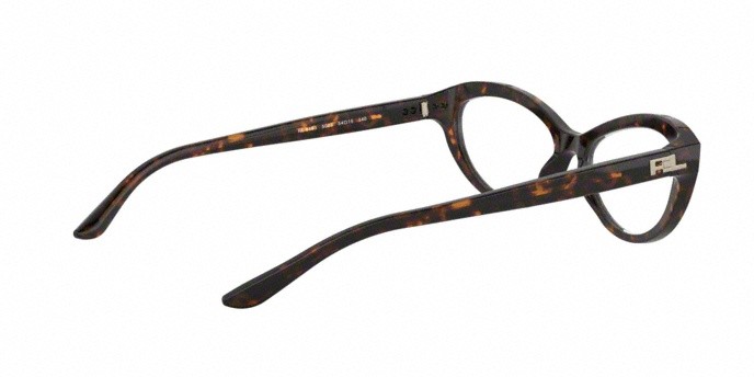 Brillen Ralph Lauren RL 6193 (5003) farbe dark havana form oval gläser demo lens