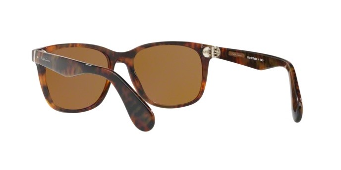 Sunglasses Ralph Lauren RL 8162P (501753) color havana jerry shape square lenses brown