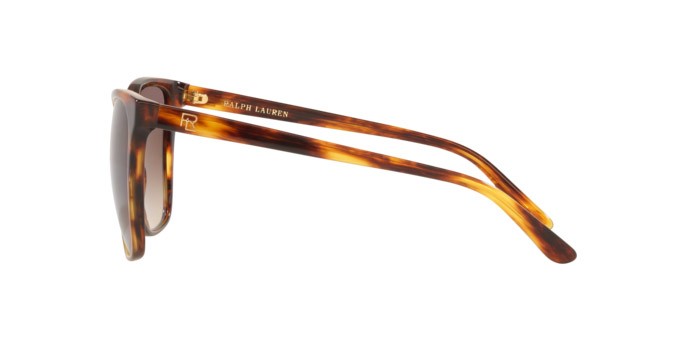 Sunglasses Ralph Lauren RL 8201 (500713) color shiny striped havana shape square lenses gradient brown