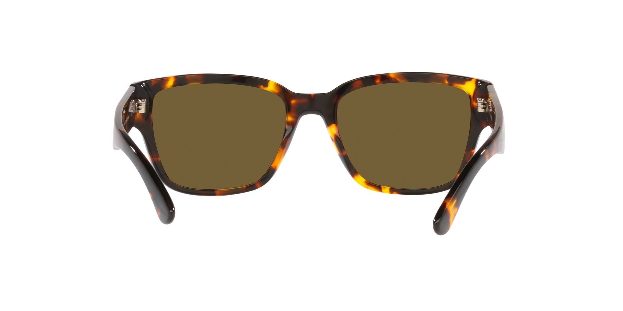 Sunglasses Ralph Lauren RL 8205 (513480) color havana anticato brillante shape square lenses marrone scuro