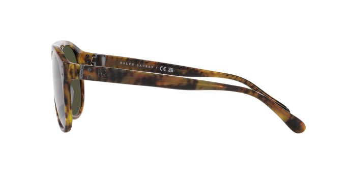 Sunglasses Ralph Lauren The Cruiser RL 8211U (501731) color havana jerry shape aviator lenses verde