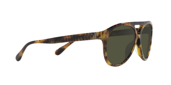 Sunglasses Ralph Lauren The Cruiser RL 8211U (501731) color havana jerry shape aviator lenses verde