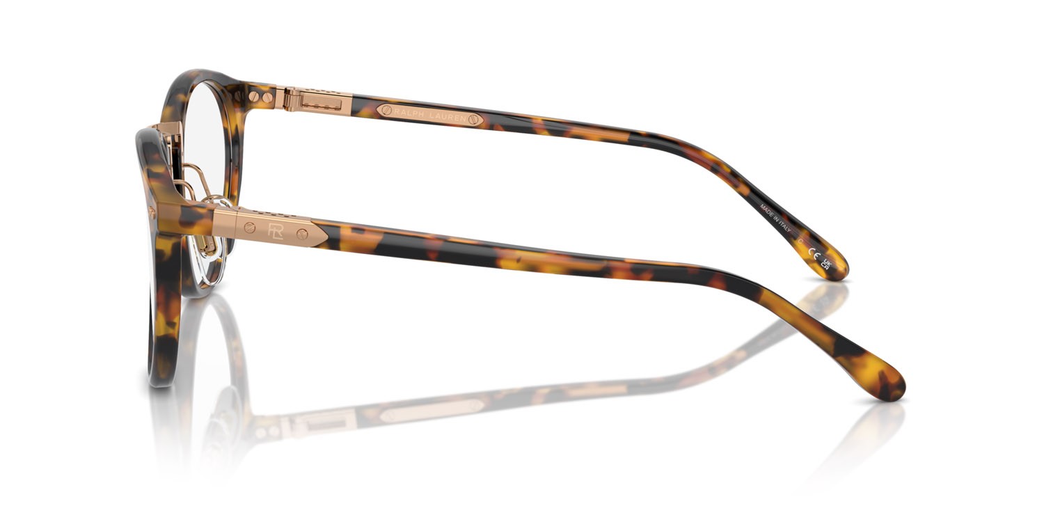 Sunglasses Ralph Lauren The Quincy RL 8223 (5134BF) color havana anticato shape pantos lenses trasparente/blu