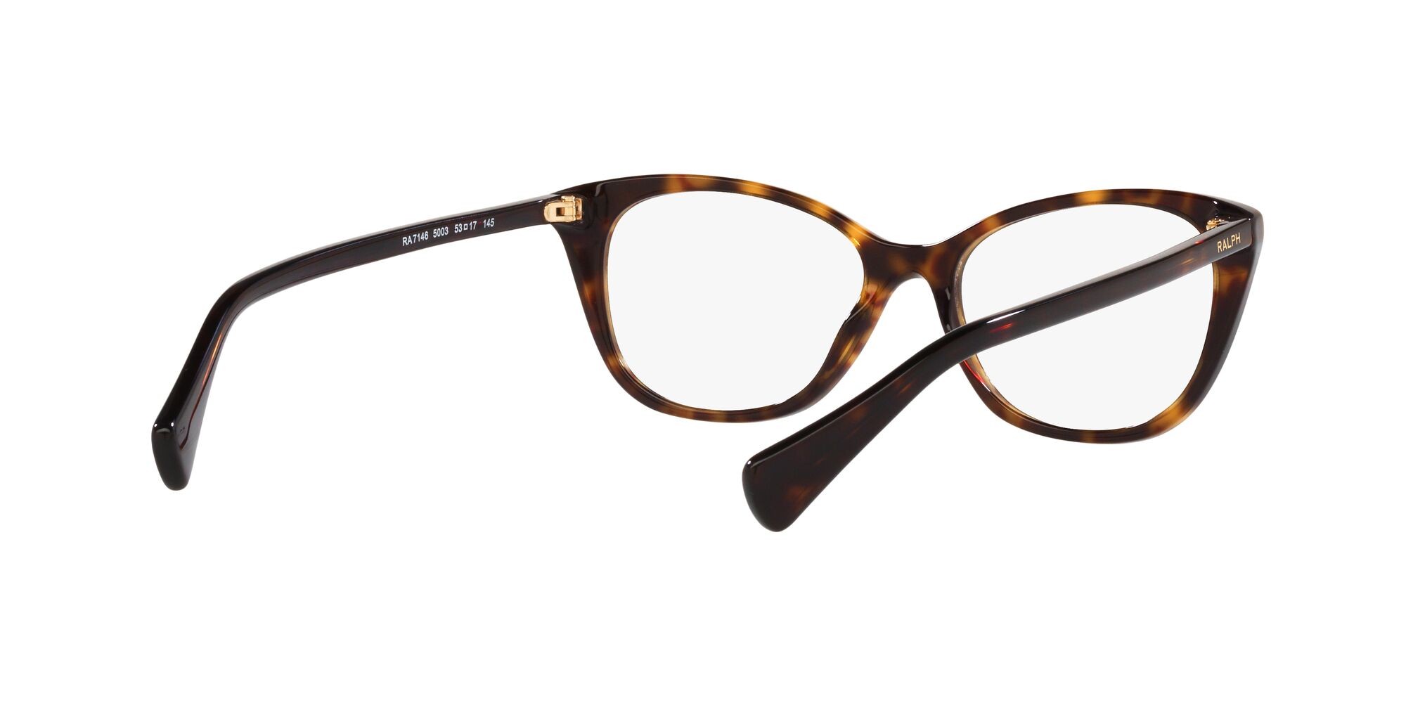 Eyeglasses Ralph RA 7146 (5003) color havana lucido shape square lenses lente demo