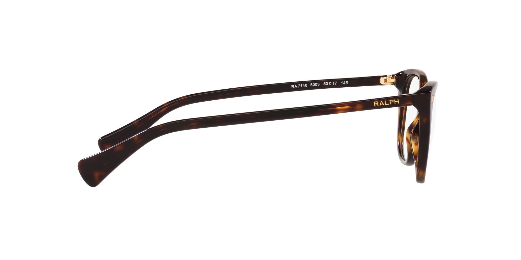 Eyeglasses Ralph RA 7146 (5003) color havana lucido shape square lenses lente demo