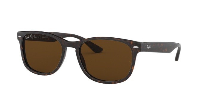 Sonnenbrillen Ray-Ban RB 2184 (902/57) farbe havana form quadratisch gläser polar brown