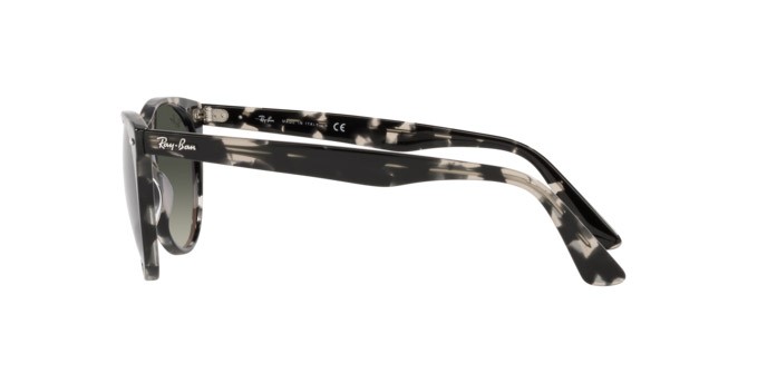 Sonnenbrillen Ray-Ban Wayfarer ii RB 2185 (133371) farbe gray havana form pantos gläser grey gradient