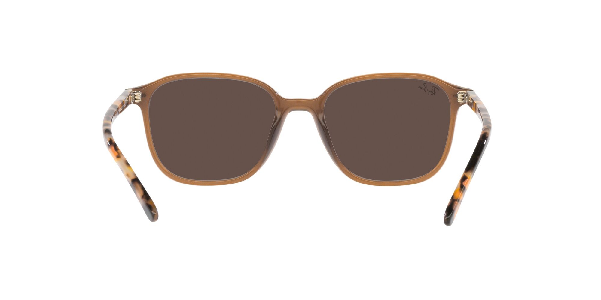 Occhiali da sole Ray-Ban Leonard RB 2193 (663693) colore marrone trasparente forma quadrato lenti marrone chiaro specchiato oro