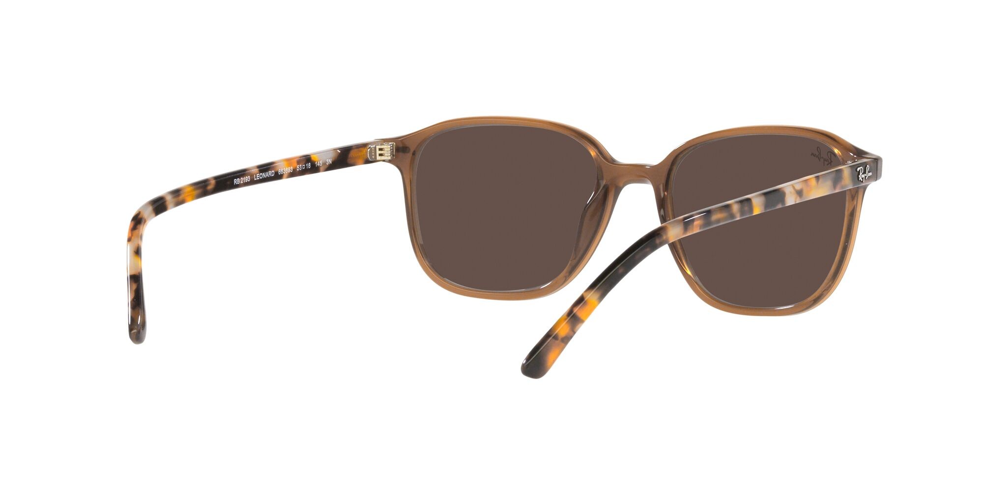 Occhiali da sole Ray-Ban Leonard RB 2193 (663693) colore marrone trasparente forma quadrato lenti marrone chiaro specchiato oro