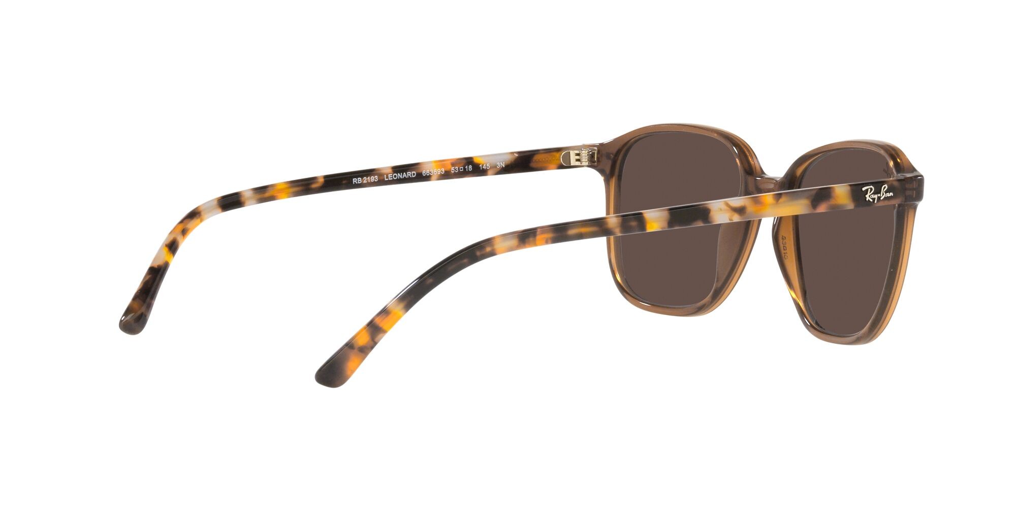 Occhiali da sole Ray-Ban Leonard RB 2193 (663693) colore marrone trasparente forma quadrato lenti marrone chiaro specchiato oro