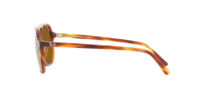 Sonnenbrillen Ray-Ban Bill RB 2198 (954/33) farbe striped havana form quadratisch gläser brown
